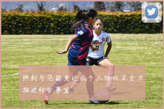 热刺与范赫克达成个人协议正全力推进转会事宜