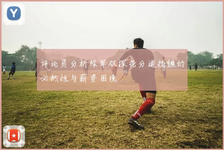 评论员分析绿军双探花分道扬镳的必然性与薪资困境